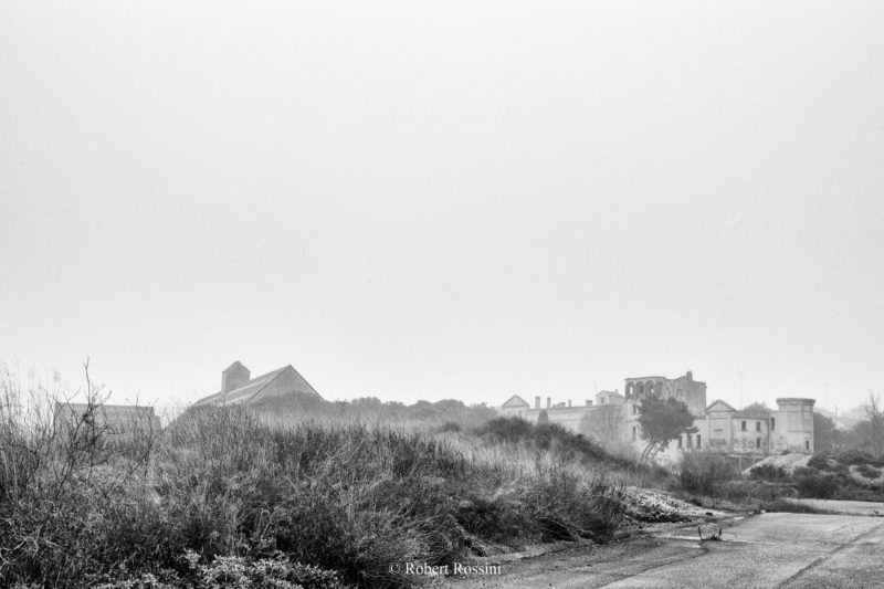 50767439496_c10391e886_o