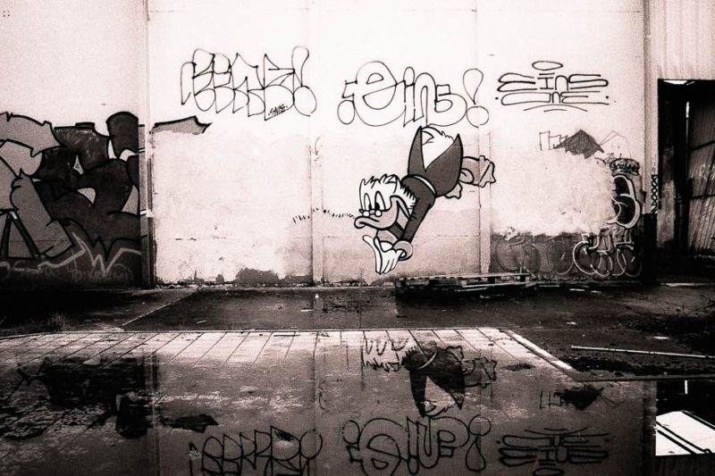 50790561366_300061dce9_o