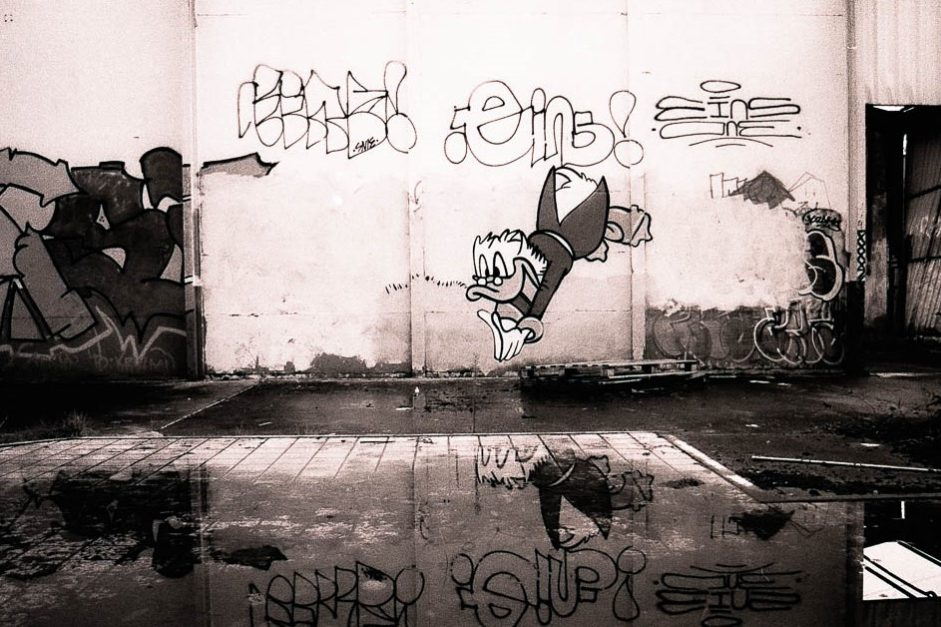 50790561366_300061dce9_o