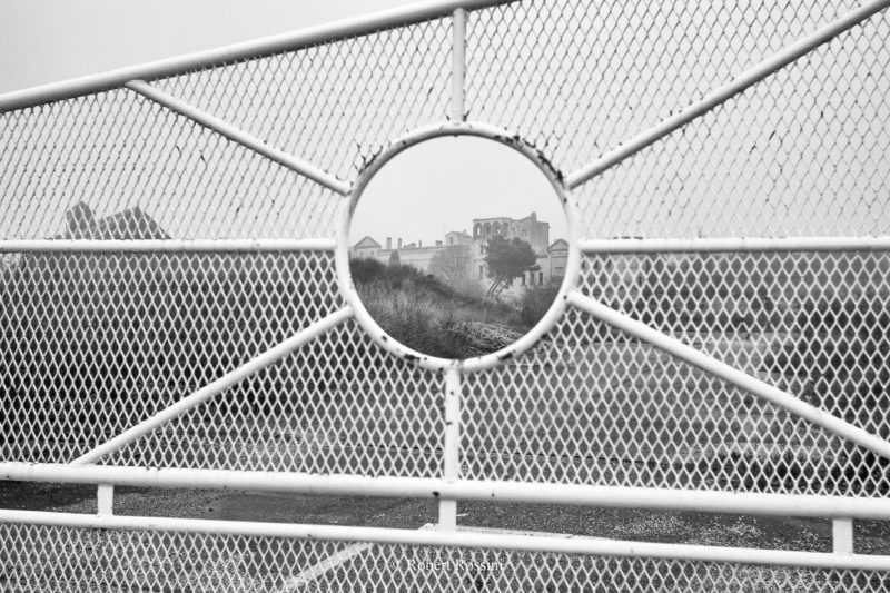 50977894842_65eb4046ee_o (1)