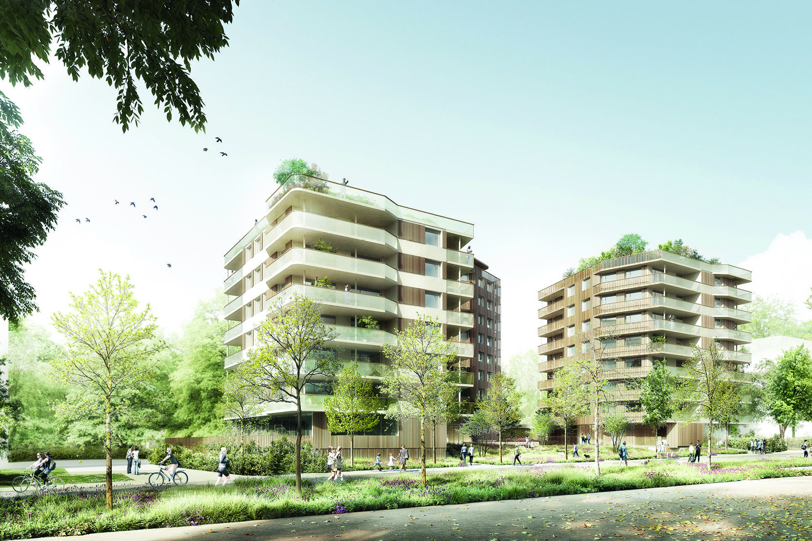 NP-Brève 1 image mise en avant