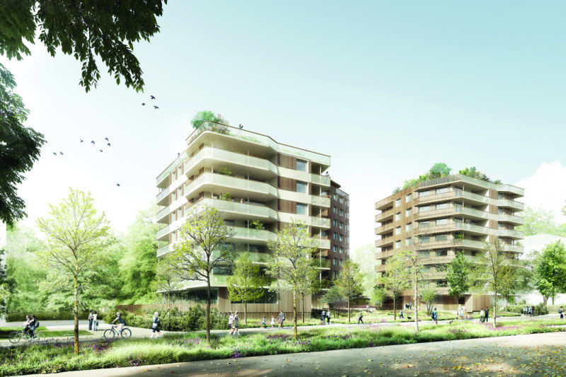 NP-Brève 1 image mise en avant