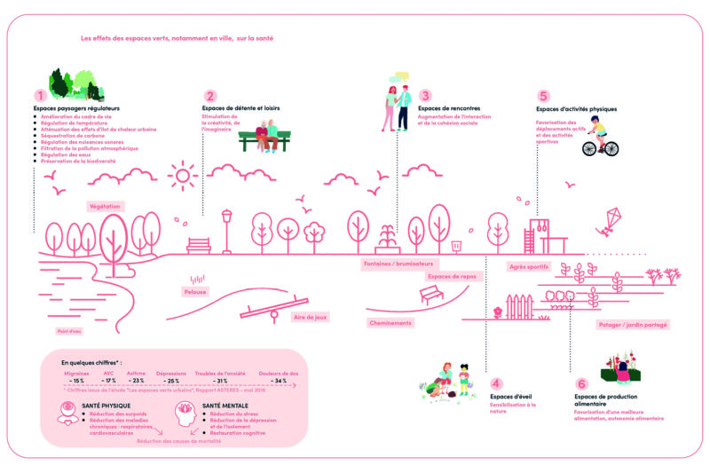 20240611-Frise espace vert en ville-Détour