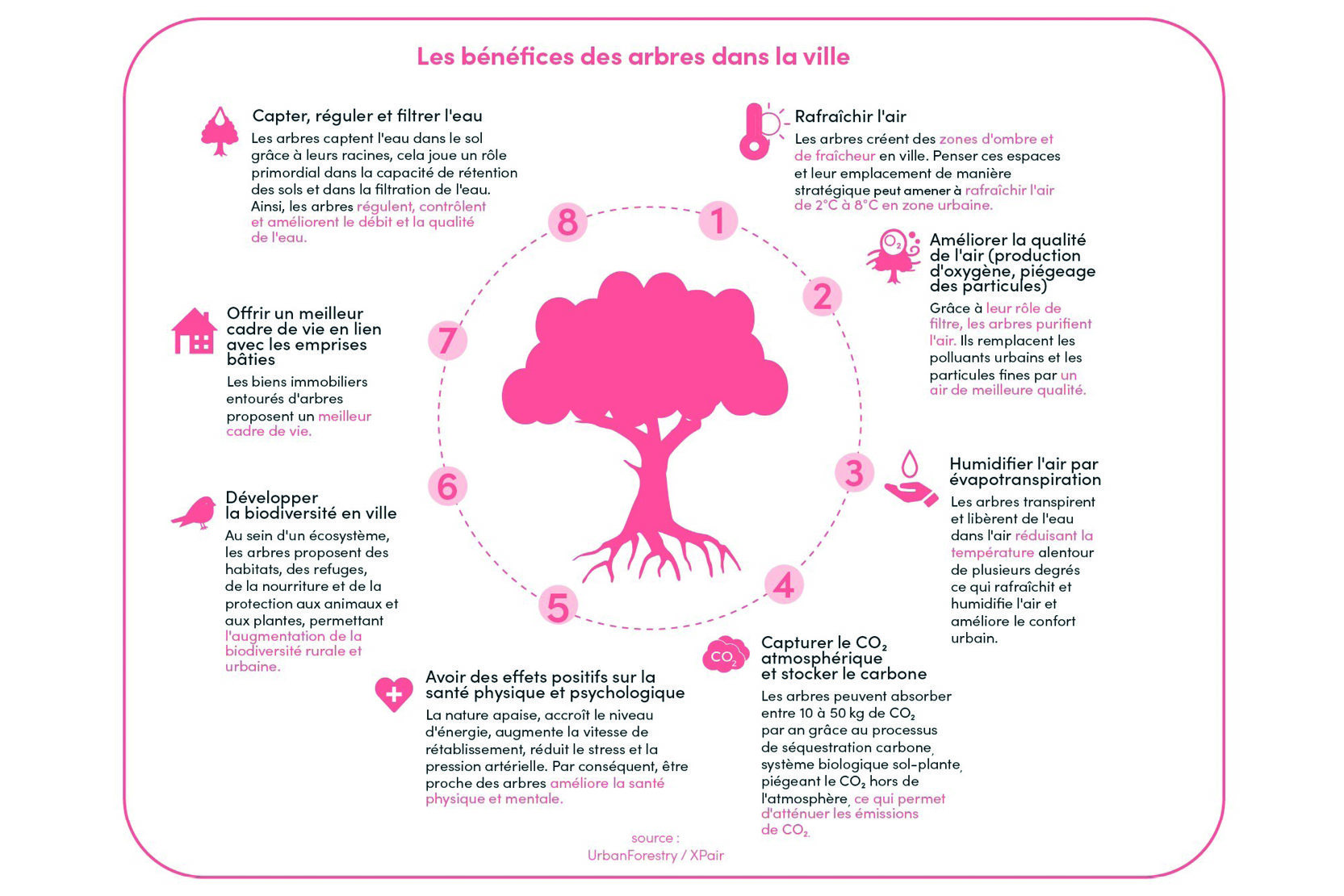 20240625-Arbres en ville-Détour